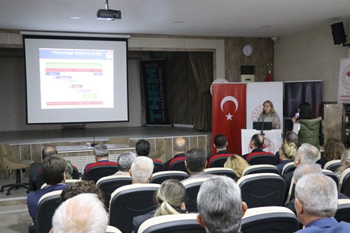 Kahverengi Kokarca İle Mücadele