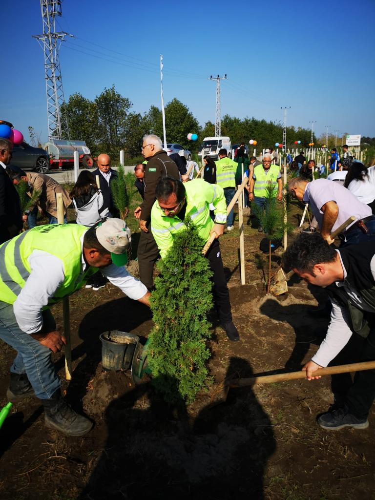 100. Yıl Hatıra Ormanı 